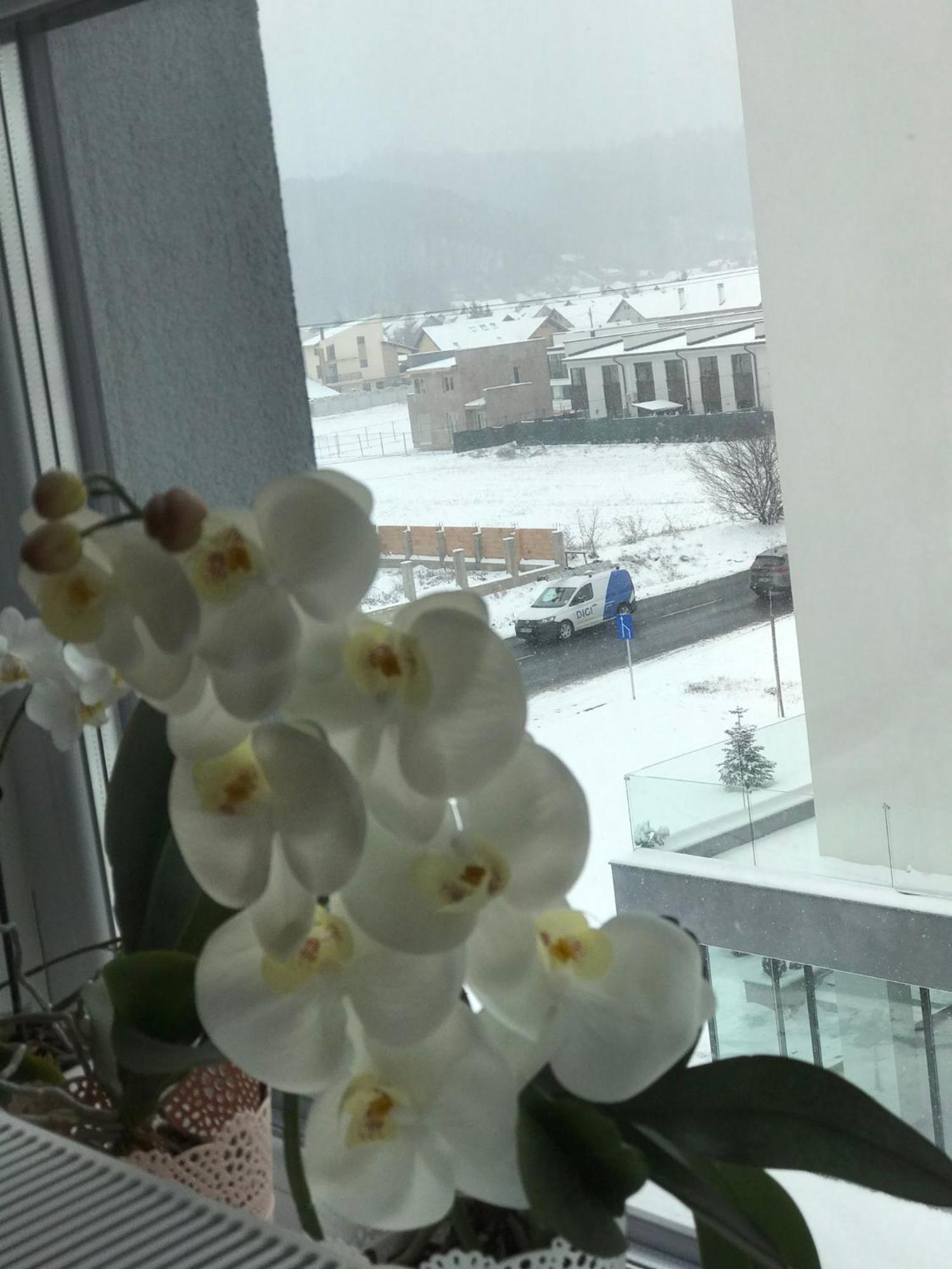 Deea H24 Apartment Rîşnov Ngoại thất bức ảnh